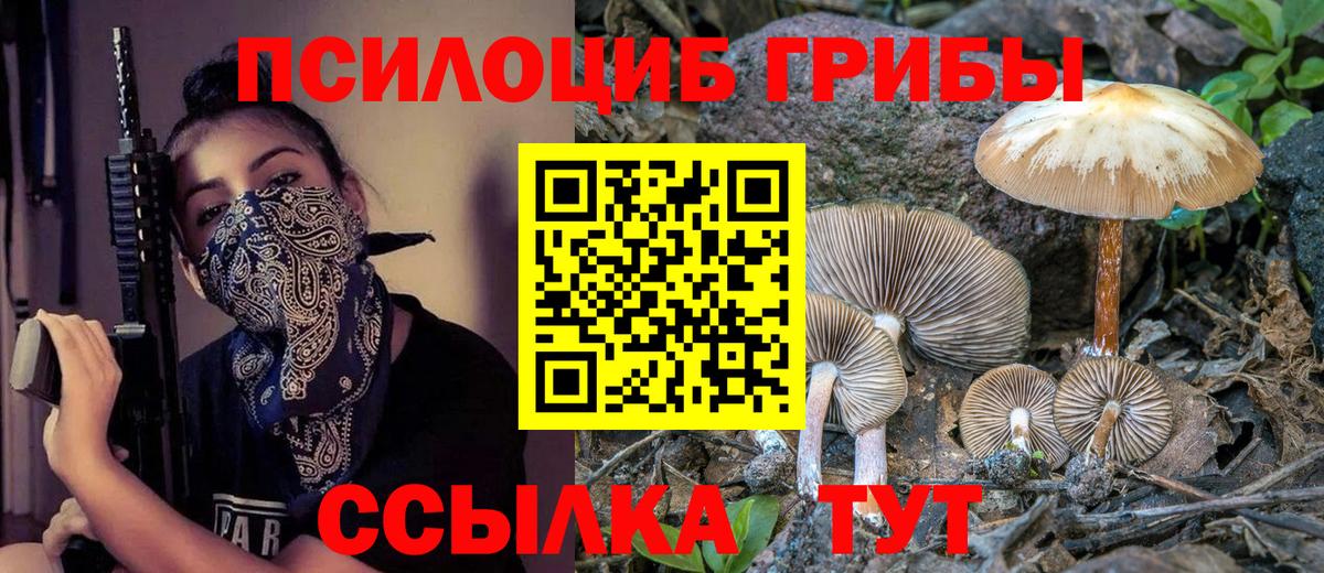 Псилоцибиновые грибы мухоморы  Вход с VPN  Благодарный  Галлюциногенные грибы MAGIC MUSHROOMS 