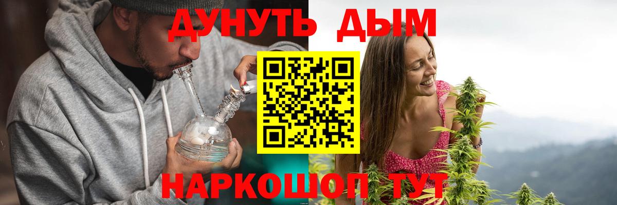 Благодарный  Каннабис планчик  Канабис ГИДРОПОН  Конопля сатива  Вход с VPN 